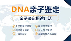 辽宁省上户口亲子鉴定去哪里做，辽宁省上户口亲子鉴定办理费用