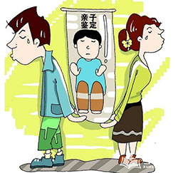 辽宁省个人亲子鉴定具体的流程，辽宁省隐私亲子鉴定费用是多少钱