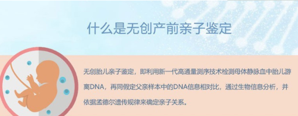 辽宁省怀孕亲子鉴定哪里办理,辽宁省孕期亲子鉴定结果需要多久