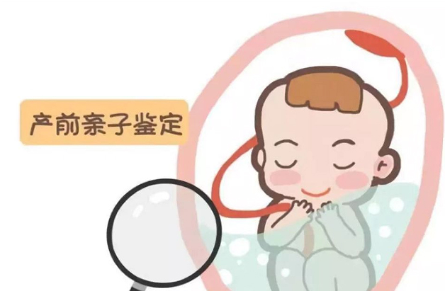 辽宁省怀孕二个月可以做胎儿亲子鉴定吗,