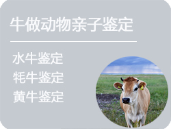辽宁省牛做动物亲子鉴定