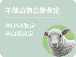 辽宁省羊做动物亲缘鉴定