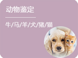 辽宁省动物鉴定